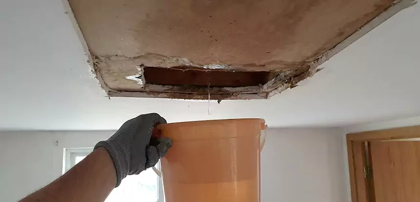 Ceiling Mold Repair Experiment
