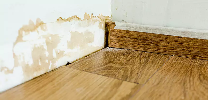 Professional Fix Water Damaged Wood Services in Experiment, GA